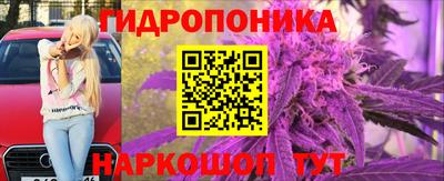 jwh Кимры