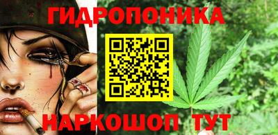 наркотики Кингисепп