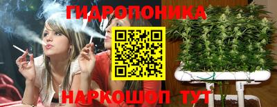 наркотики Кингисепп