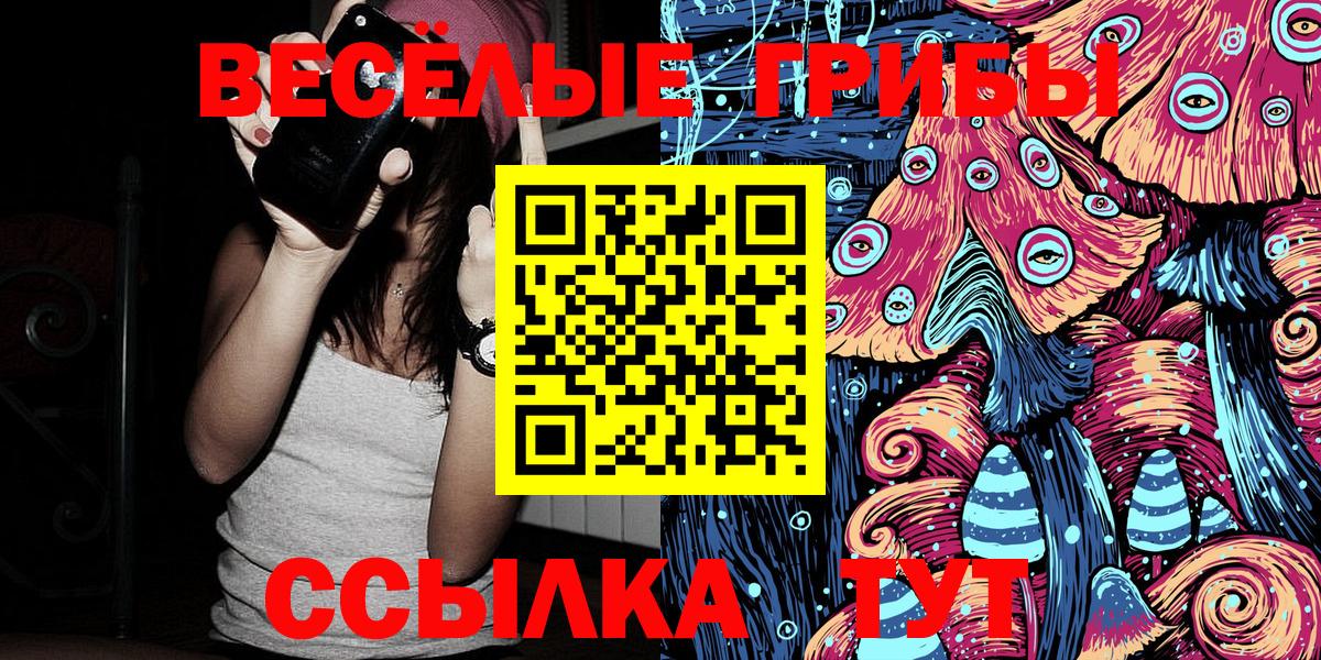 Псилоцибиновые грибы мицелий Котлас