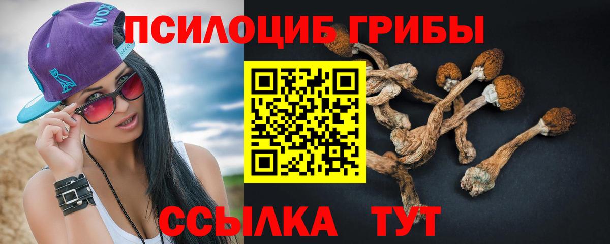 Псилоцибиновые грибы мухоморы  Вход с VPN  Котлас 